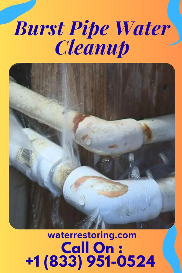 Burst Pipe Water Cleanup in Stroudsburg, PA