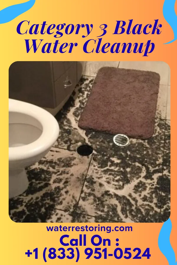 Category 3 Black Water Cleanup in Stroudsburg, PA