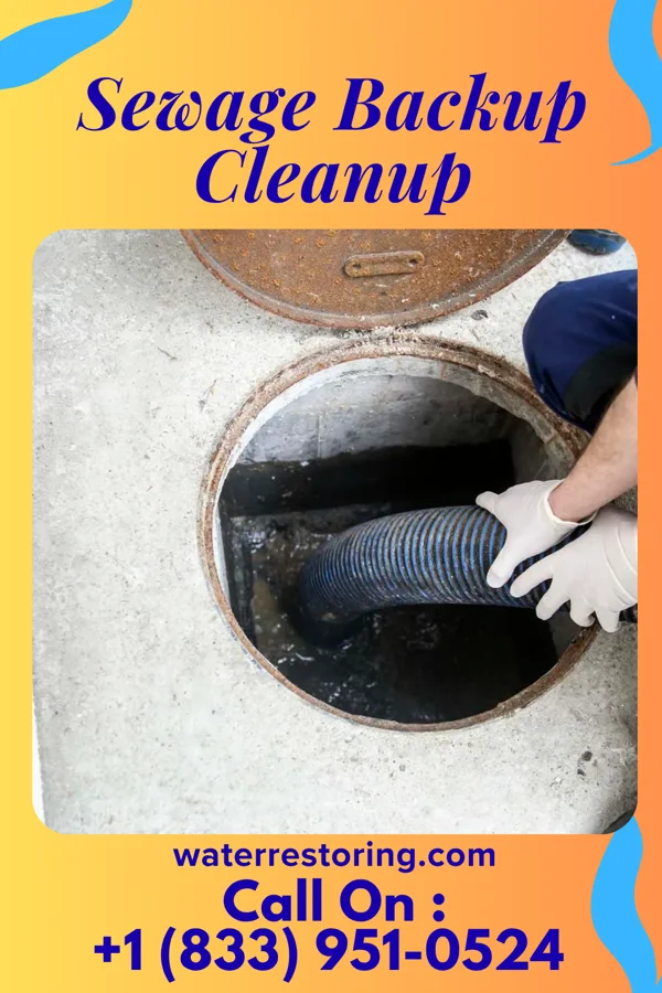 Sewage Backup Cleanup in Stroudsburg, PA