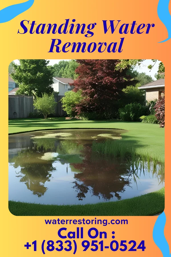 Standing Water Removal in Stroudsburg, PA